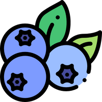 Real Fruits