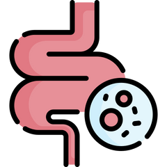 💖 Gut-Friendly Support