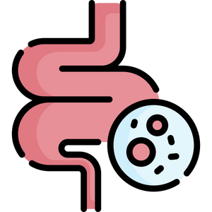 💖 Gut-Friendly Support