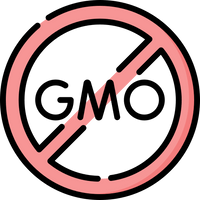 Non-GMO Ingredients