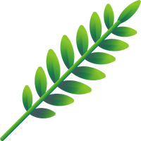 Carefully Selected Botanicals